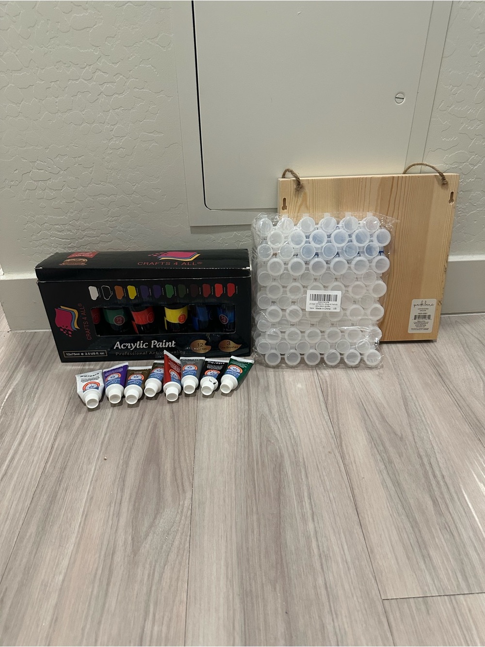 Acrylic Paint Set with Canvas Panels and Storage Jars - Multicolor
